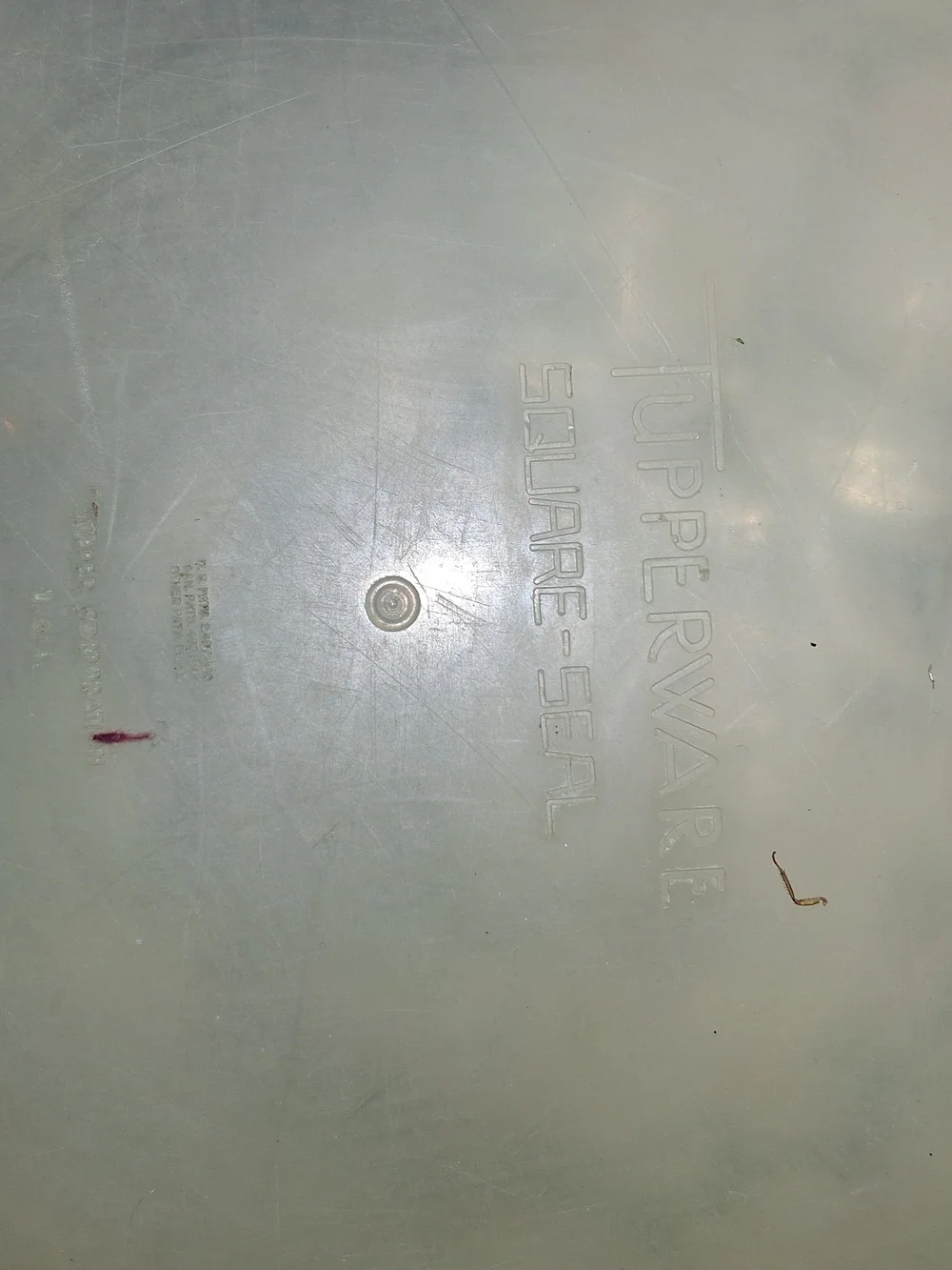 Tupperware Square Cream Food Storage Lid